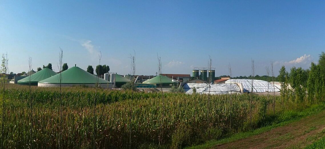 impianto Fonti rinnovabili: cosa fare per creare un piccolo impianto a biomasse e sfruttare un