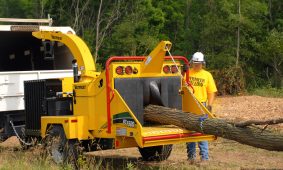 BC1500_Action3 Normativa boschi e foreste: associazioni in prima linea per ridurre la burocrazia e valorizzare la filiera del legno