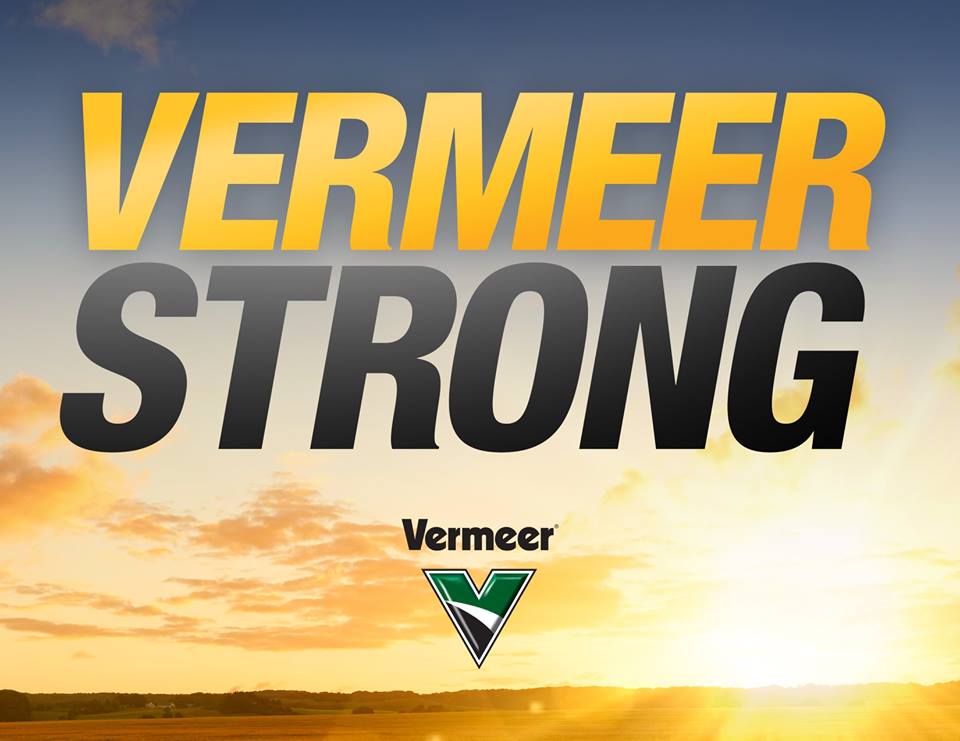 Vermeer Strong