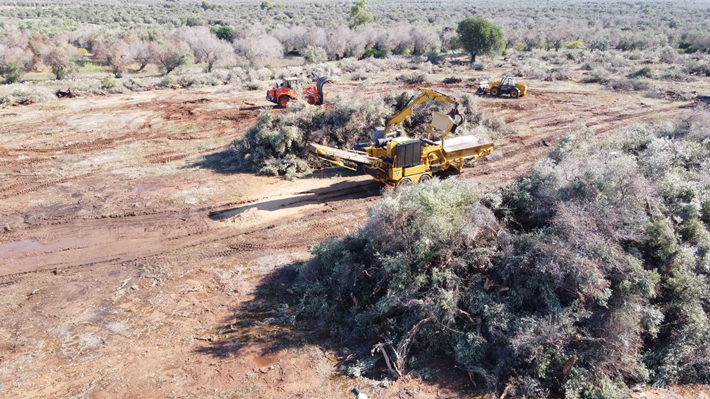 Hg4000 Vermeer xylella