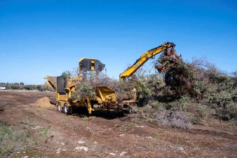 HG4000 xylella ital bio energy (3)