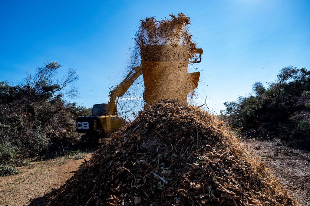 HG4000 xylella ital bio energy (4)